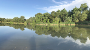 Water at Bear Creek Greenbelt Lakewood CO